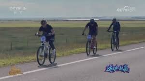 MLB打者应对高速球策略