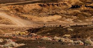 泰山主帅尘埃落定？山东资深记者曝重磅内幕，非韩鹏引发球迷复杂心情