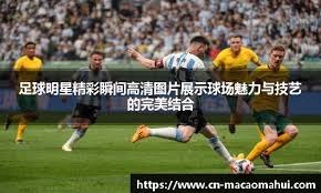 机会